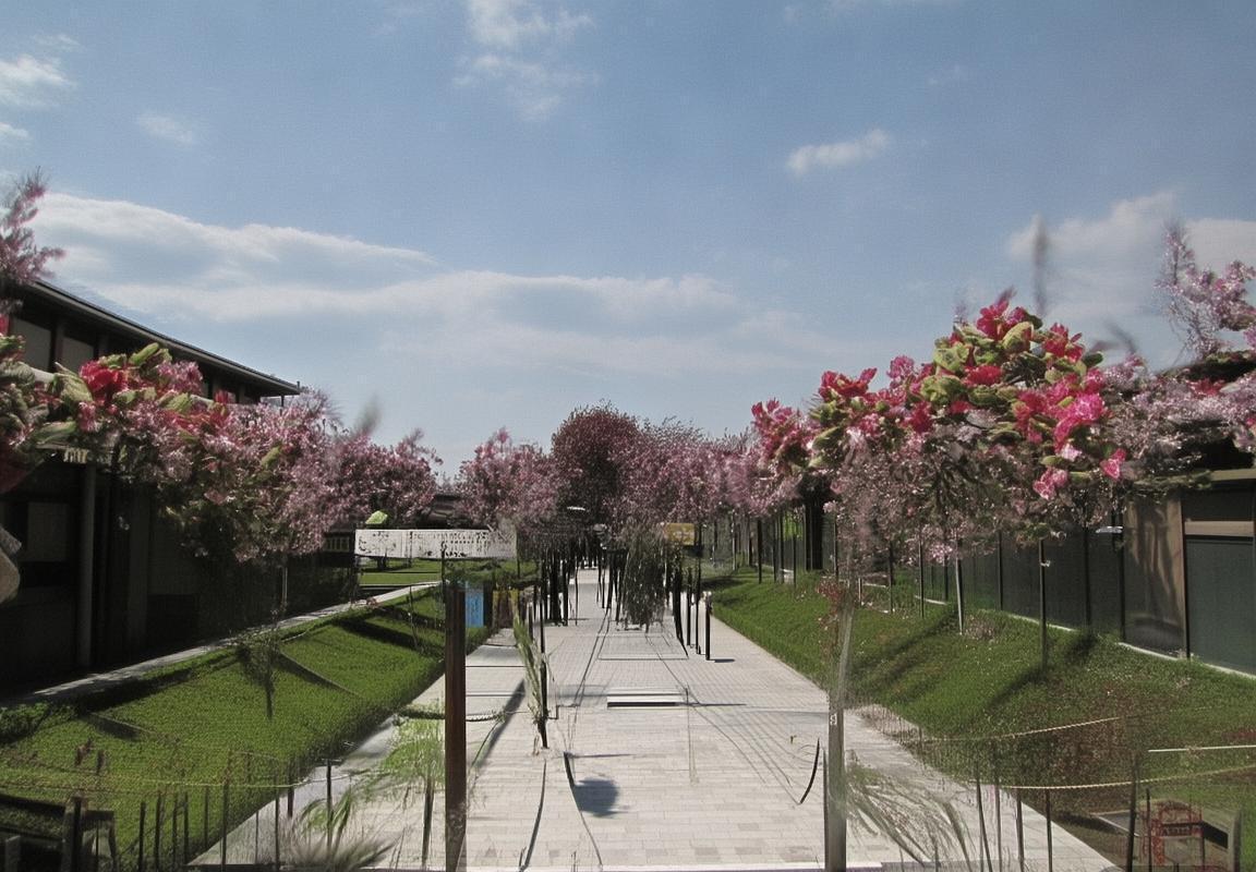 广东队VS山西咪咕：CBA焦点对决前瞻与战术解析